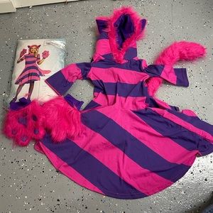 Girl’s Cheshire Cat Costume Size 6